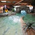 La piscine couverte