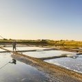 marais_salants_guerande